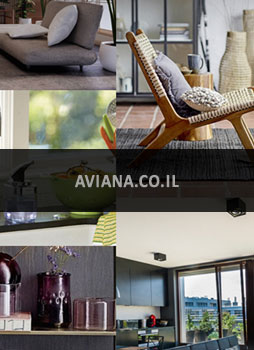 Aviana.co.il